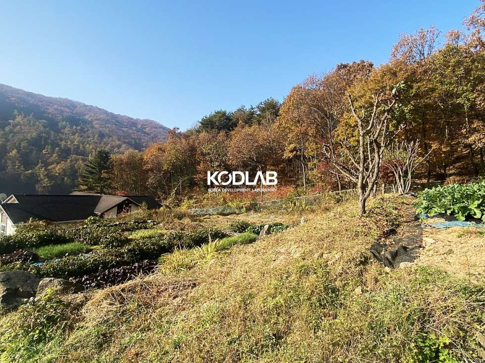 경기 양평군 강상면 대석리 2차선 도로 차량4분, 평당 110만원 강상면 투자 목적용 토지 매매 매물번호 10663 사진 7