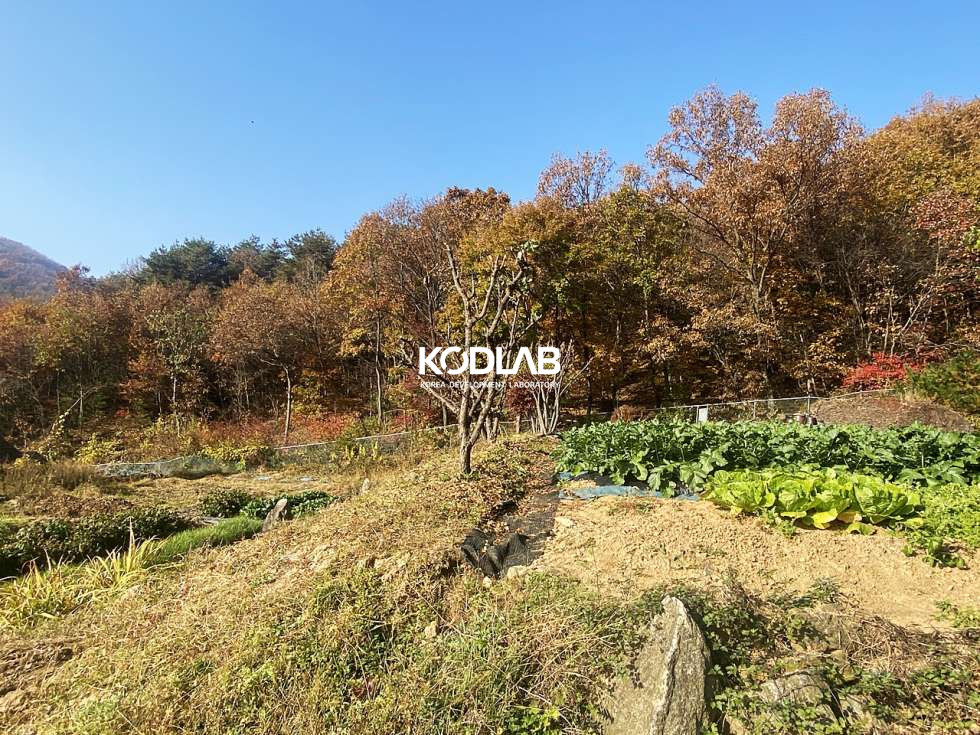 경기 양평군 강상면 대석리 2차선 도로 차량4분, 평당 110만원 강상면 투자 목적용 토지 매매 매물번호 10663 사진 8