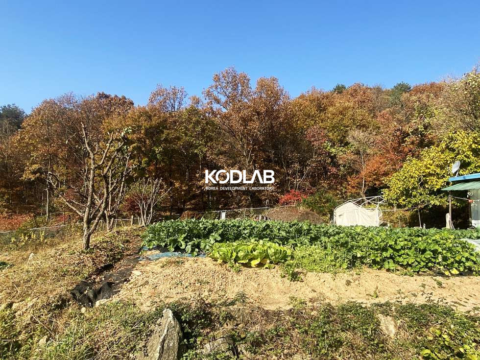 경기 양평군 강상면 대석리 2차선 도로 차량4분, 평당 110만원 강상면 투자 목적용 토지 매매 매물번호 10663 사진 9
