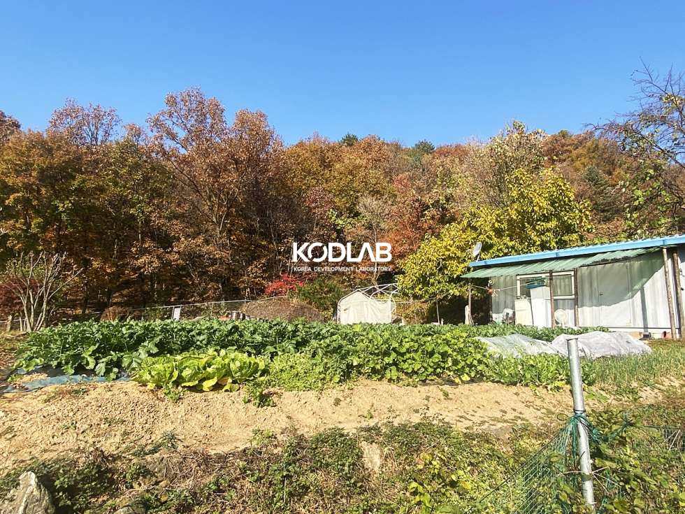 경기 양평군 강상면 대석리 2차선 도로 차량4분, 평당 110만원 강상면 투자 목적용 토지 매매 매물번호 10663 사진 10