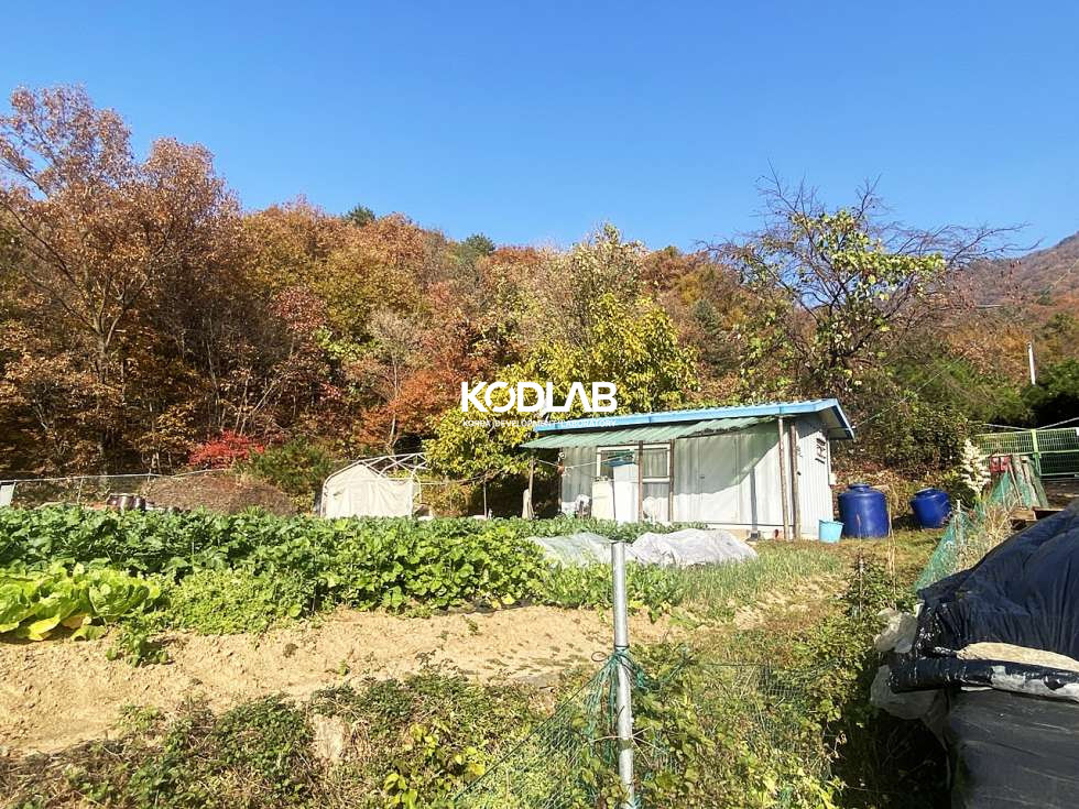 경기 양평군 강상면 대석리 2차선 도로 차량4분, 평당 110만원 강상면 투자 목적용 토지 매매 매물번호 10663 사진 11