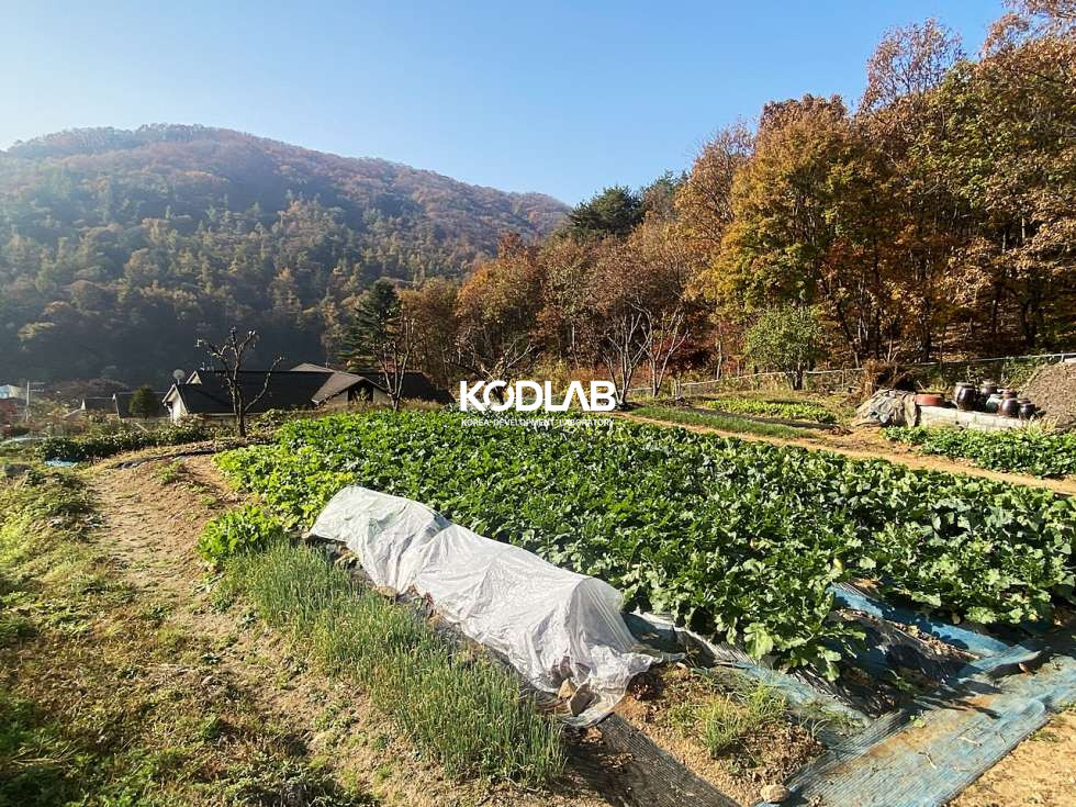 경기 양평군 강상면 대석리 2차선 도로 차량4분, 평당 110만원 강상면 투자 목적용 토지 매매 매물번호 10663 사진 12