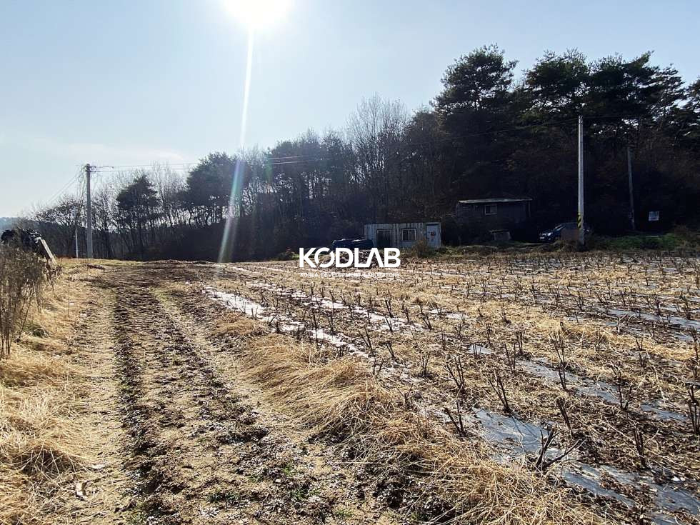 경기 양평군 지평면 망미리 지평역 10분, 트인전망 평지의 가격 좋은 전원주택지 혹은 투자용토지 매매 매물번호 10675 사진 7