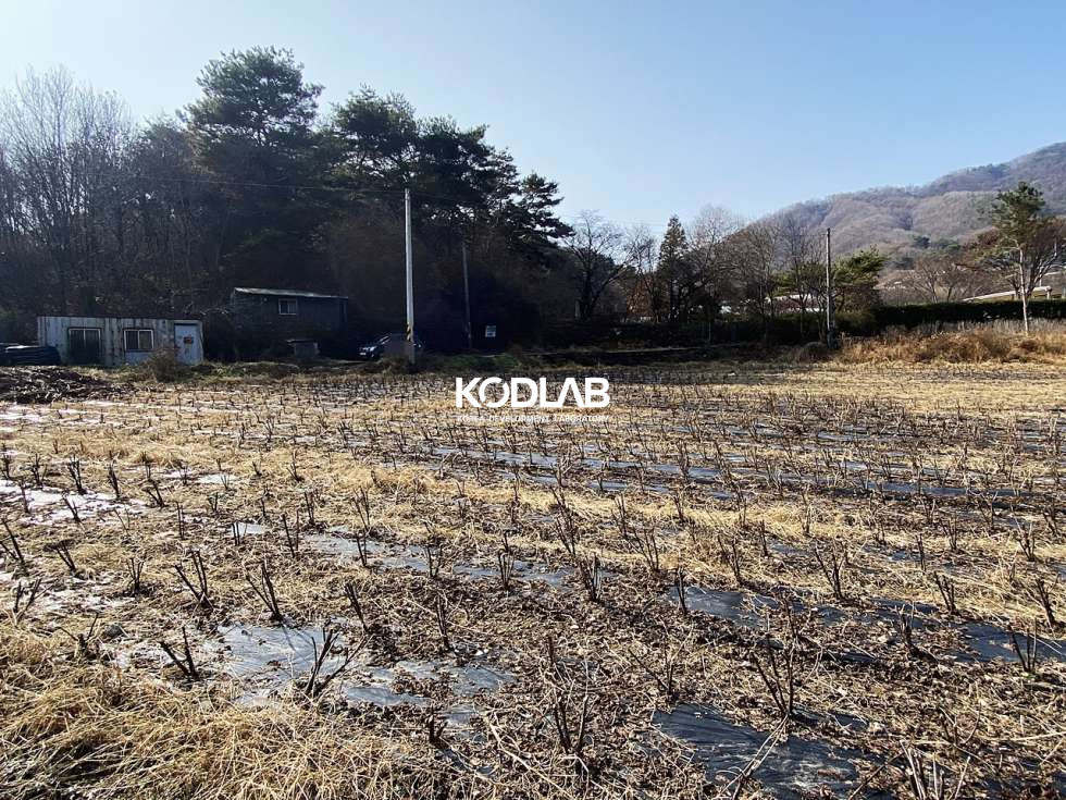경기 양평군 지평면 망미리 지평역 10분, 트인전망 평지의 가격 좋은 전원주택지 혹은 투자용토지 매매 매물번호 10675 사진 8