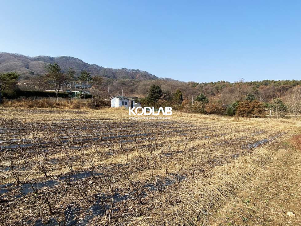 경기 양평군 지평면 망미리 지평역 10분, 트인전망 평지의 가격 좋은 전원주택지 혹은 투자용토지 매매 매물번호 10675 사진 10