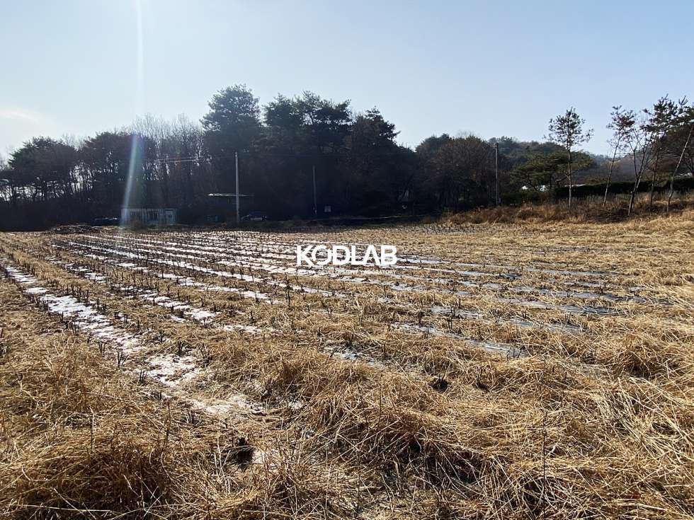 경기 양평군 지평면 망미리 지평역 10분, 트인전망 평지의 가격 좋은 전원주택지 혹은 투자용토지 매매 매물번호 10675 사진 12