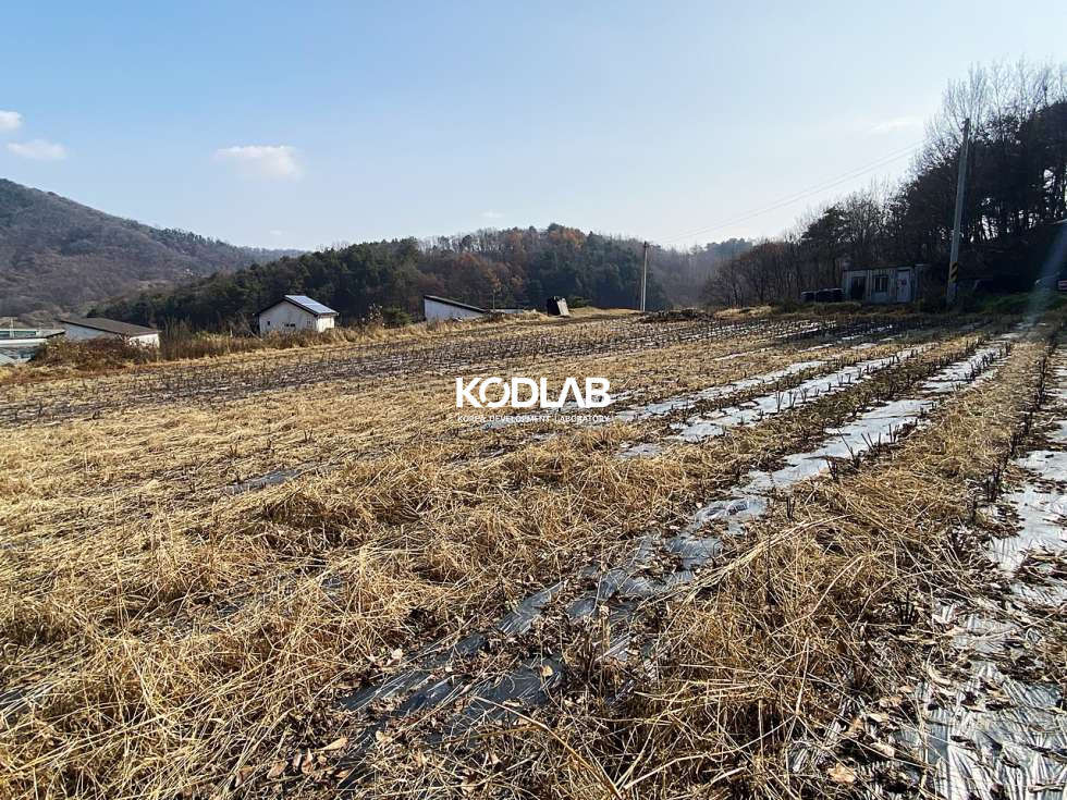 경기 양평군 지평면 망미리 지평역 10분, 트인전망 평지의 가격 좋은 전원주택지 혹은 투자용토지 매매 매물번호 10675 사진 13