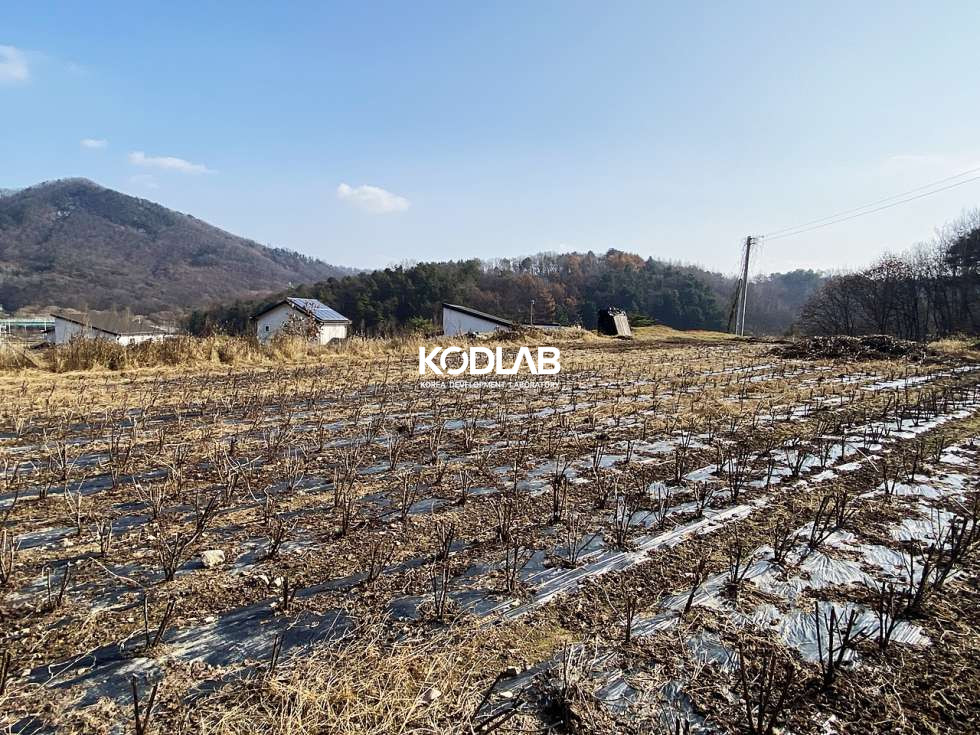 경기 양평군 지평면 망미리 지평역 10분, 트인전망 평지의 가격 좋은 전원주택지 혹은 투자용토지 매매 매물번호 10675 사진 16