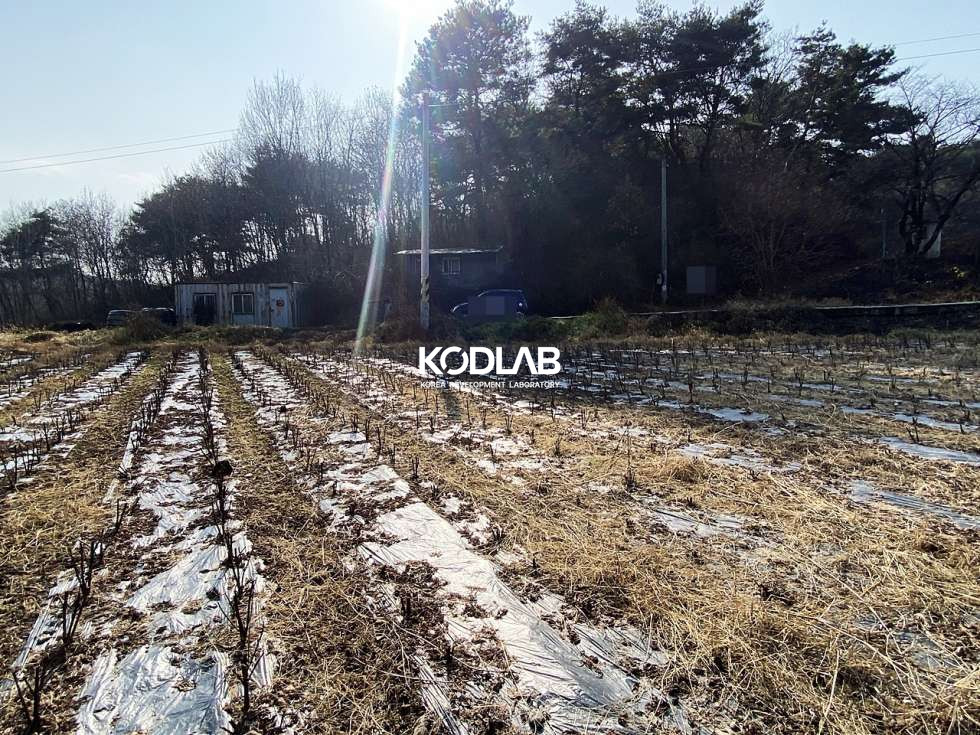 경기 양평군 지평면 망미리 지평역 10분, 트인전망 평지의 가격 좋은 전원주택지 혹은 투자용토지 매매 매물번호 10675 사진 18