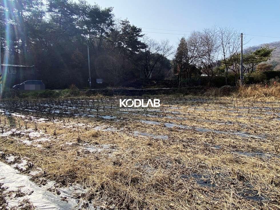 경기 양평군 지평면 망미리 지평역 10분, 트인전망 평지의 가격 좋은 전원주택지 혹은 투자용토지 매매 매물번호 10675 사진 19