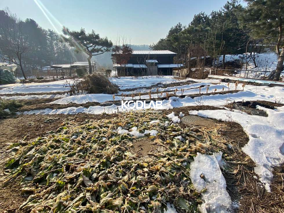 경기 양평군 옥천면 신복리 옥천면 신복리 토지만 360평, 찜질방+태양광 설치된 전원주택 매매 매물번호 10890 사진 11