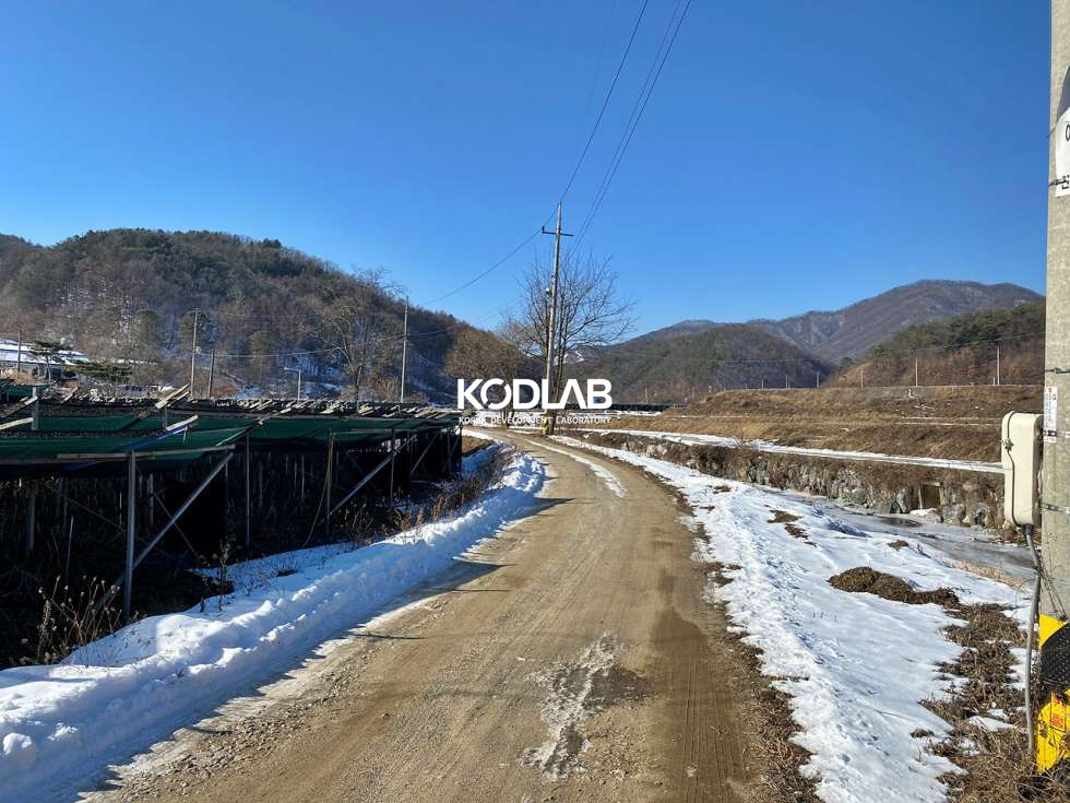 경기 양평군 단월면 향소리 국유지 도로접한 단월면 실제 농사짓는 토지 매매 매물번호 10865 사진 4