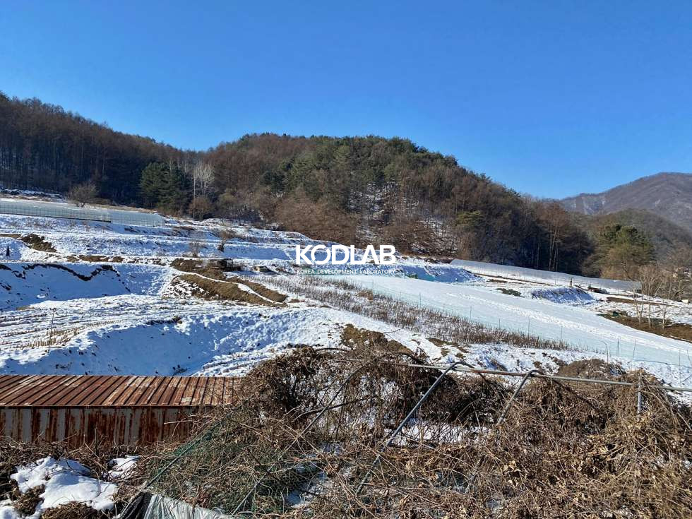 경기 양평군 단월면 향소리 국유지 도로접한 단월면 실제 농사짓는 토지 매매 매물번호 10865 사진 8