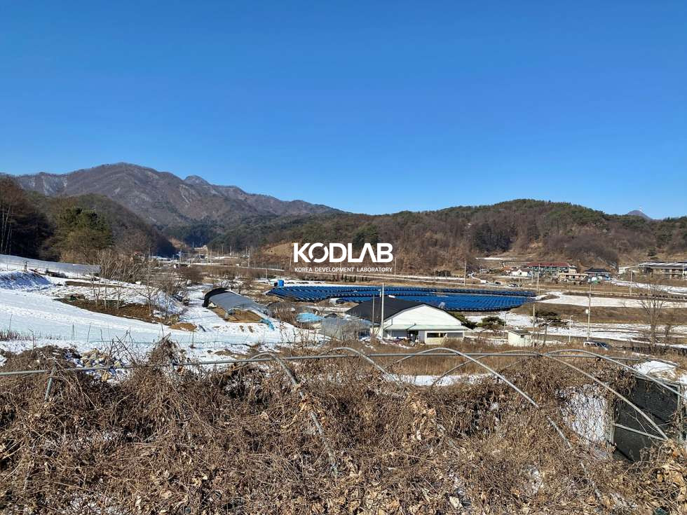 경기 양평군 단월면 향소리 국유지 도로접한 단월면 실제 농사짓는 토지 매매 매물번호 10865 사진 9