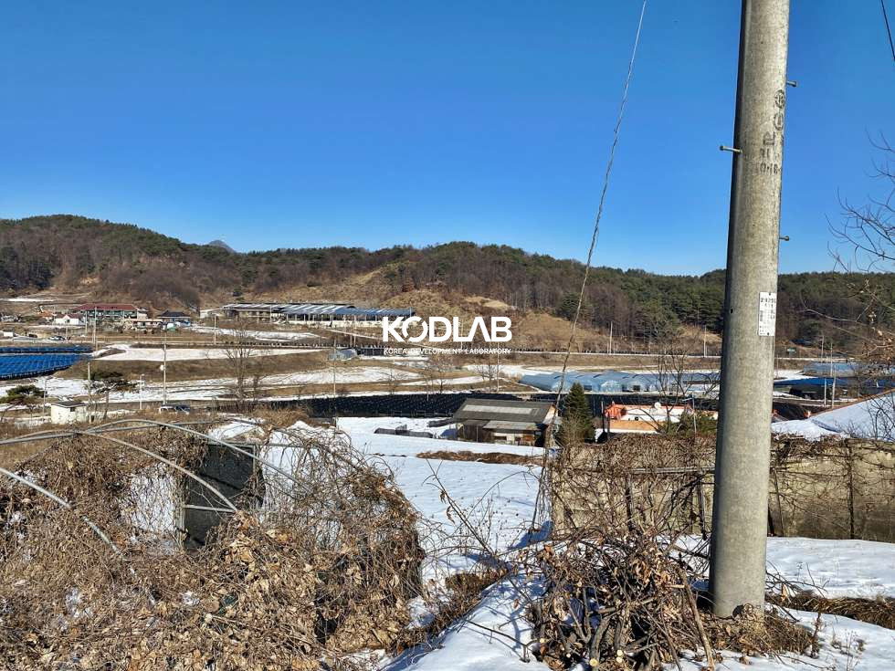 경기 양평군 단월면 향소리 국유지 도로접한 단월면 실제 농사짓는 토지 매매 매물번호 10865 사진 10