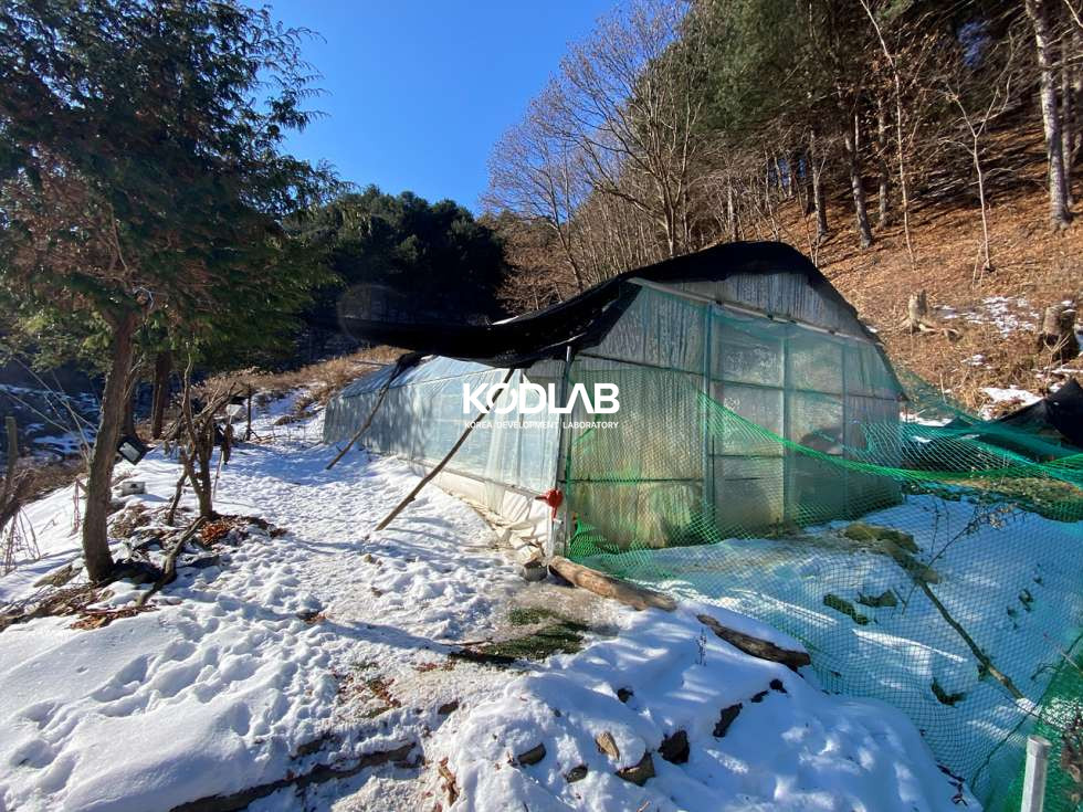 경기 양평군 청운면 갈운리 평당 55만원 토지 4935평, 건물 30.2평 청운면 생활권 10분 거리의 연못이 있는 집 매매 매물번호 10850 사진 27