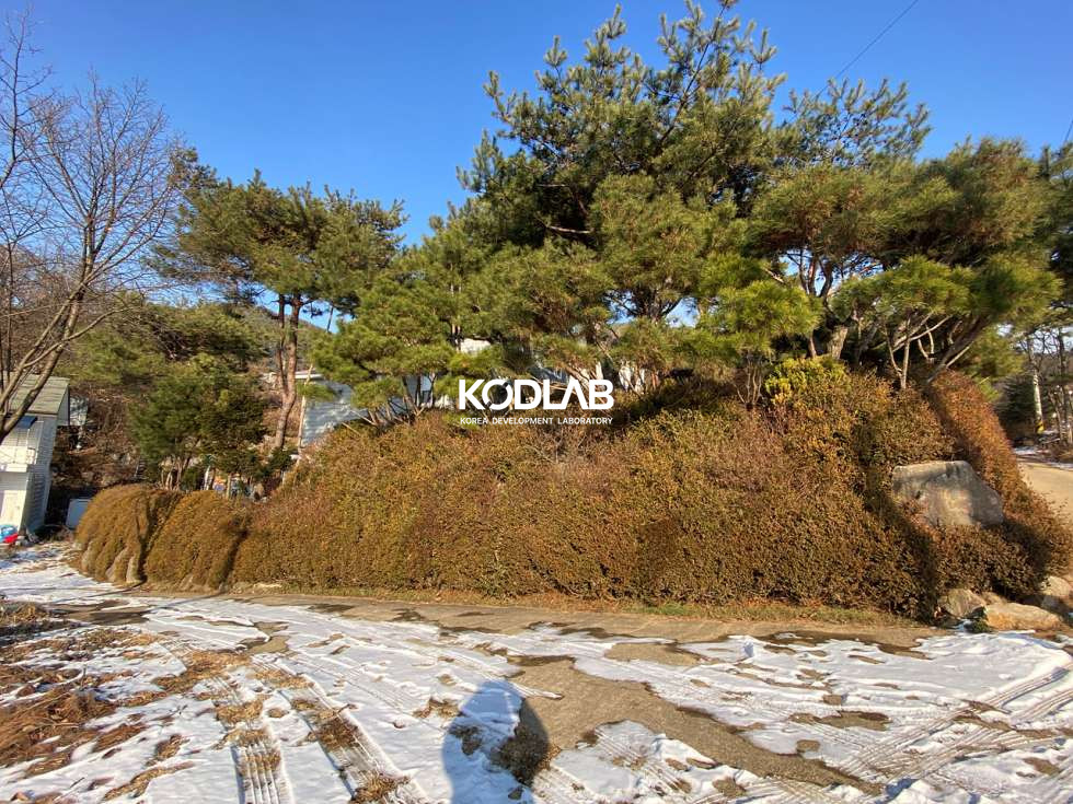 경기 양평군 옥천면 신복리 아신역 가까운 50평대 전원주택, 작년 리모델링까지 완료!! 매매 매물번호 10814 사진 7