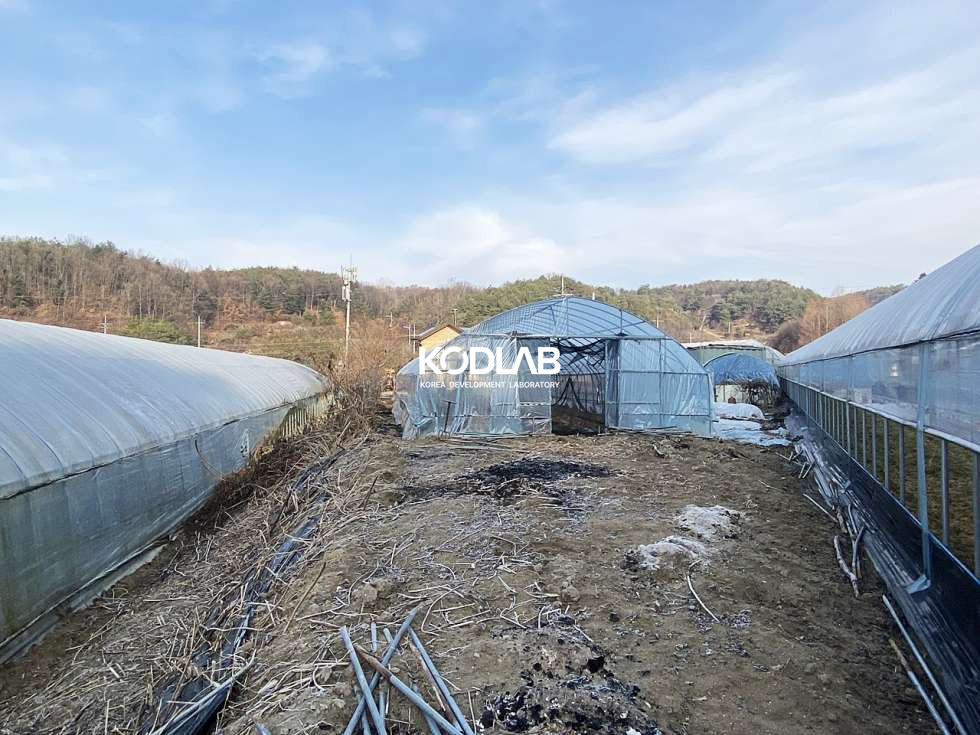 경기 양평군 양동면 석곡리 양동면 800대의 넓은 토지와 수리할 곳 없는 관리잘된 구주택 매매 매물번호 10806 사진 23