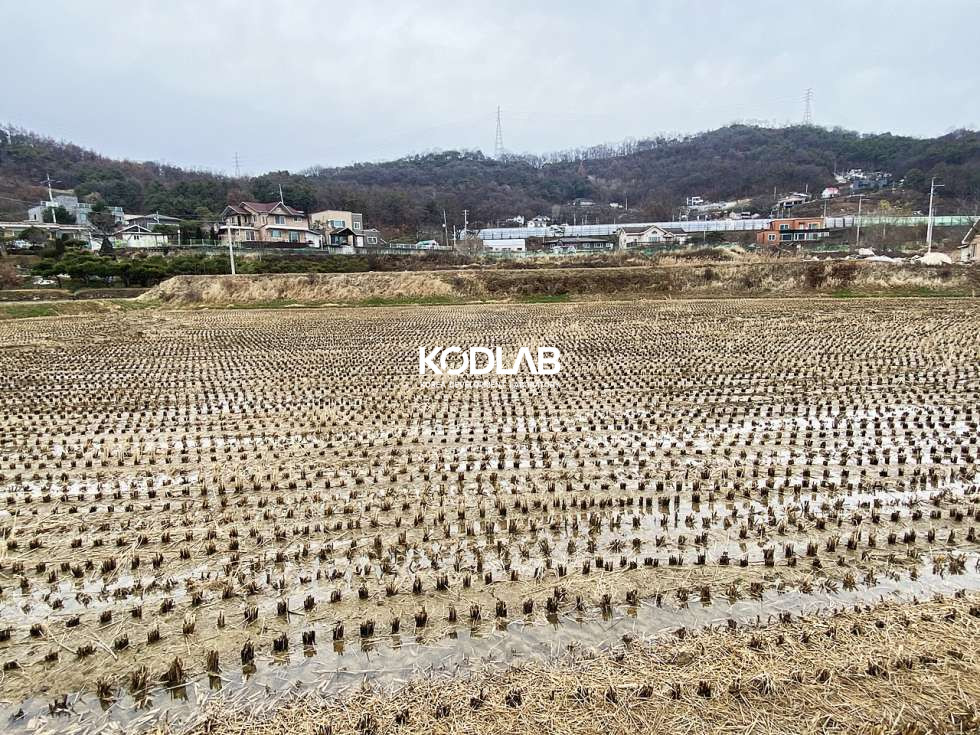경기 양평군 양평읍 오빈리 오빈리 분할매매 가능한 논필지! 매매 매물번호 10777 사진 1