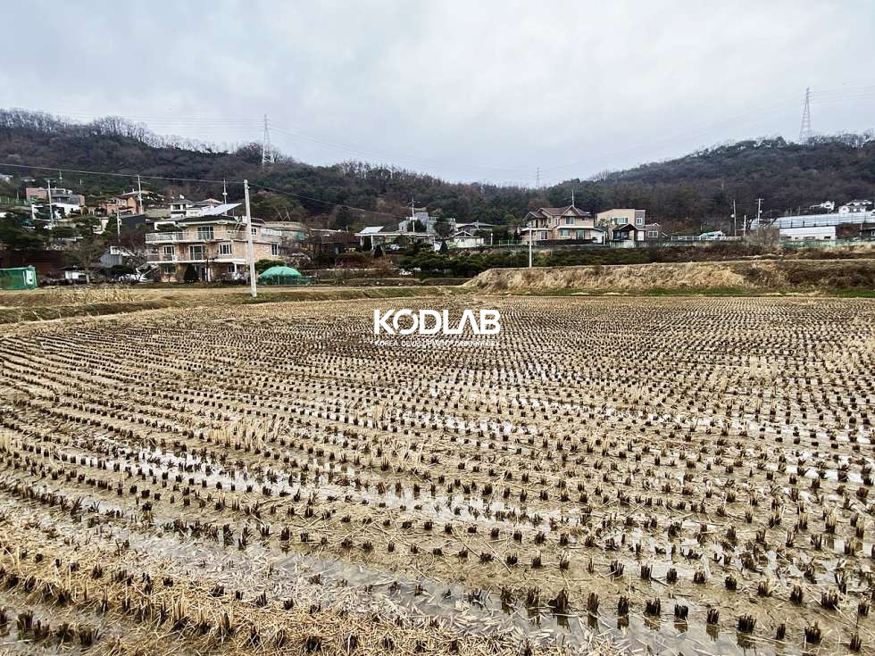 경기 양평군 양평읍 오빈리 오빈리 분할매매 가능한 논필지! 매매 매물번호 10777 사진 8