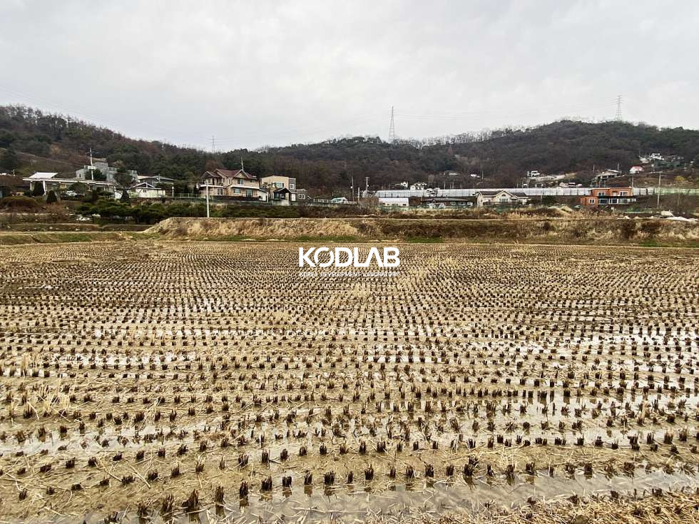경기 양평군 양평읍 오빈리 오빈리 분할매매 가능한 논필지! 매매 매물번호 10777 사진 9