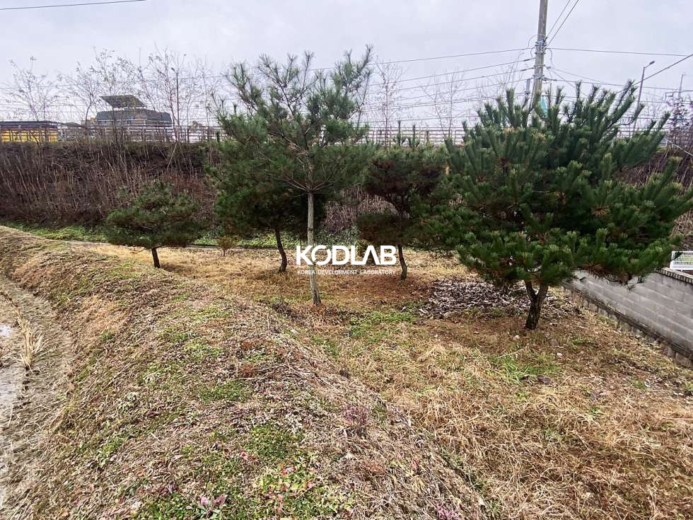 경기 양평군 양평읍 오빈리 오빈리 분할매매 가능한 논필지! 매매 매물번호 10777 사진 12