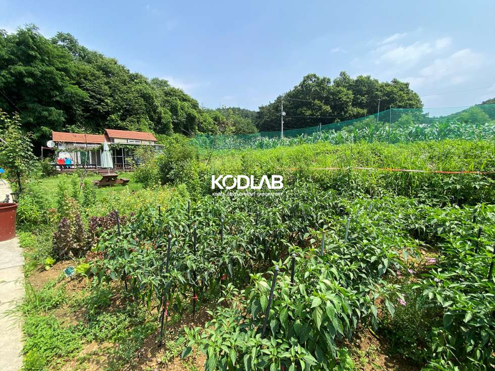 경기 양평군 지평면 송현리 작은 개울이 있는 지평면 1억대 농막 매매 매물번호 11808 사진 4