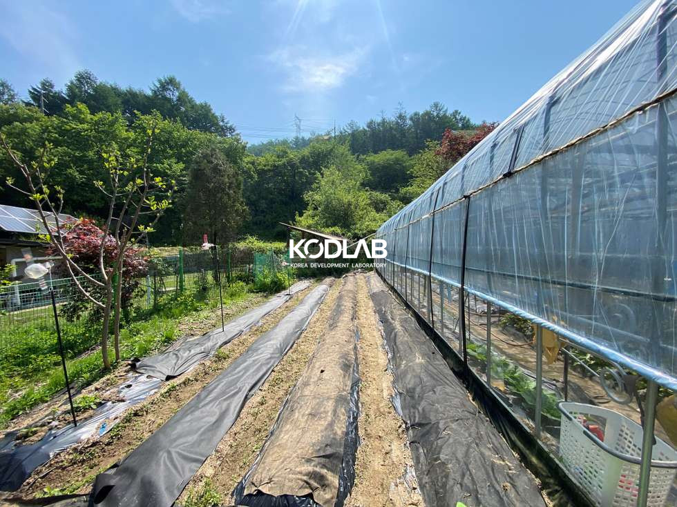 경기 양평군 옥천면 신복리 2차선 도로 가까운 주위에 별로없는 모텔건물! 매매 매물번호 11814 사진 14