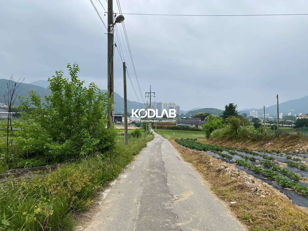 경기 양평군 용문면 마룡리 용문면 마룡리 평당 65만원 464평 토지 매매 매물번호 11838 사진 3