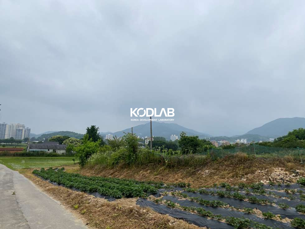 경기 양평군 용문면 마룡리 용문면 마룡리 평당 65만원 464평 토지 매매 매물번호 11838 사진 6