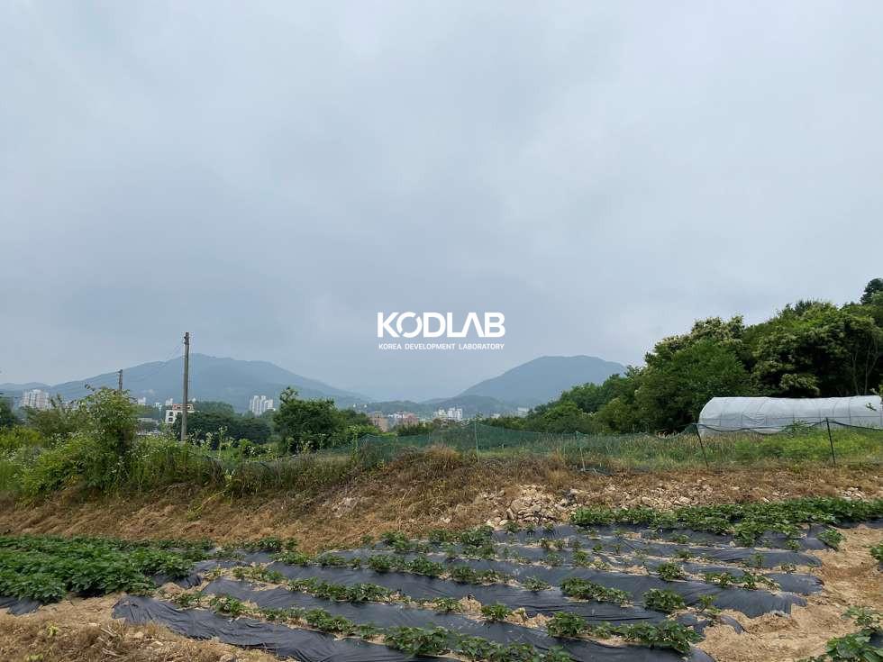 경기 양평군 용문면 마룡리 용문면 마룡리 평당 65만원 464평 토지 매매 매물번호 11838 사진 7