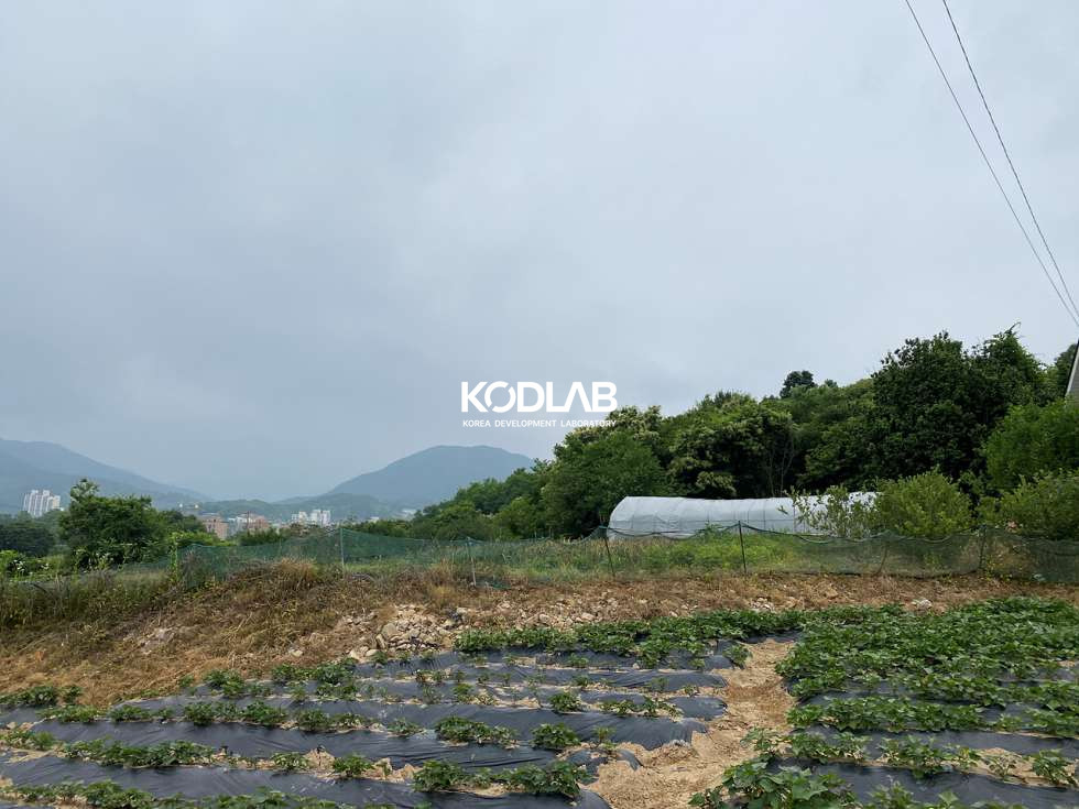 경기 양평군 용문면 마룡리 용문면 마룡리 평당 65만원 464평 토지 매매 매물번호 11838 사진 8