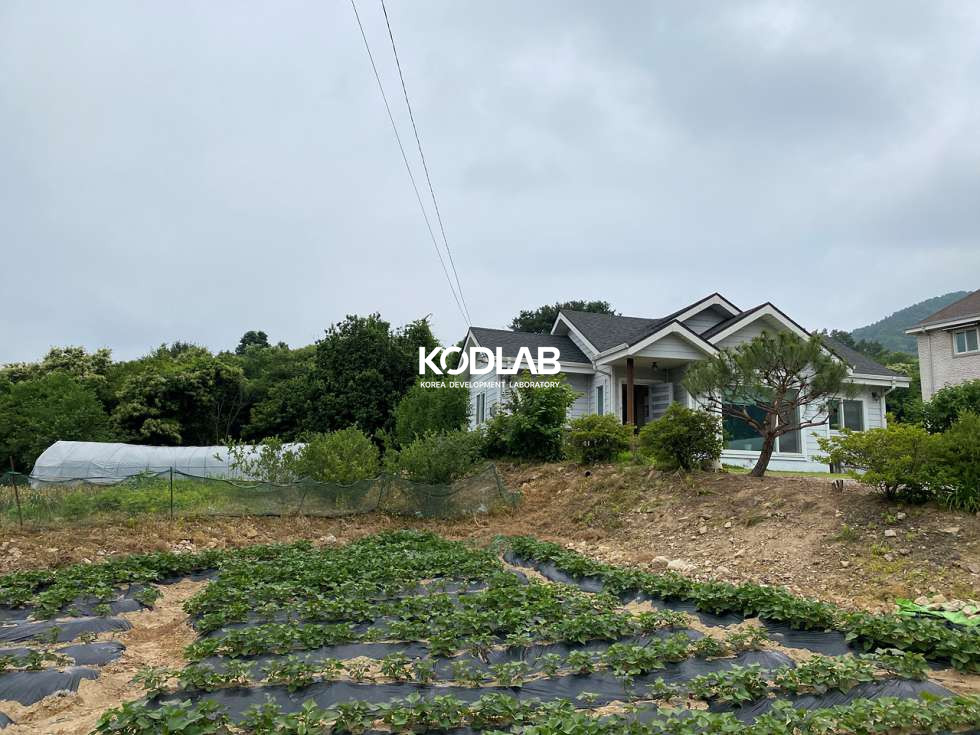 경기 양평군 용문면 마룡리 용문면 마룡리 평당 65만원 464평 토지 매매 매물번호 11838 사진 10