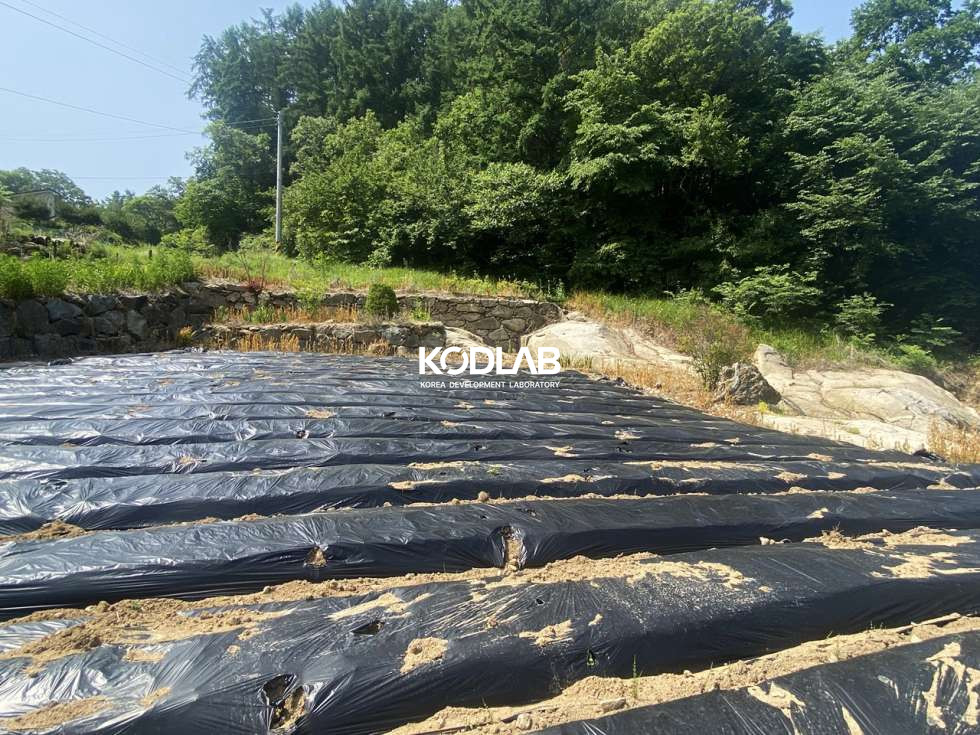 경기 양평군 지평면 옥현리 현재 밭으로 사용중. 자연 연못이 딸려있는 지평면 토지 매매 매물번호 11854 사진 16