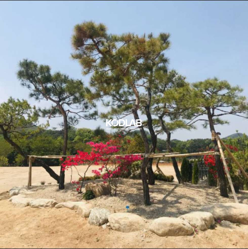 경기 안산단원구 대부동동 급매가! 인근 경매 낙찰가보다 저렴한 금액의 토목완료된 단지 통매각 합니다. 매매 매물번호 11918 사진 2