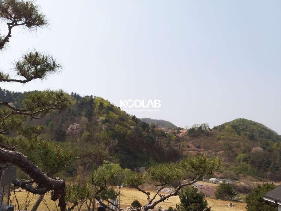 경기 양평군 서종면 문호리 남향 북한강 뷰세권 편의시설 가까운 진짜 좋은 집 매매 매물번호 10155 사진 8