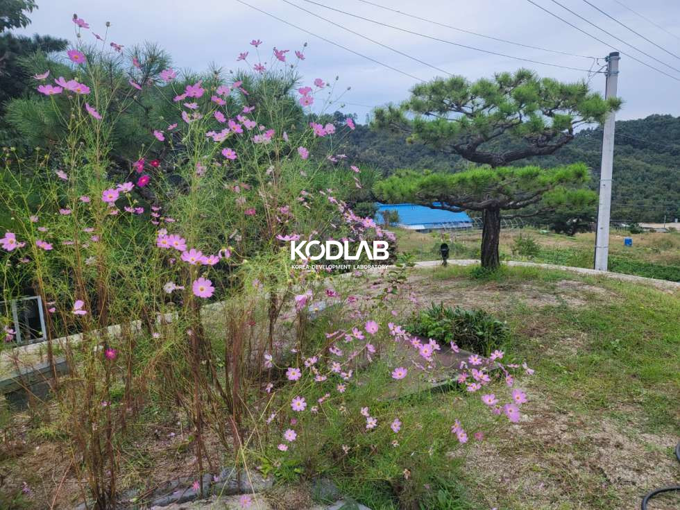 경기 양평군 옥천면 신복리 조용한데 접근성까지 좋은 저택 전원주택. 팬션으로도 강추!! 전세 매물번호 11942 사진 2