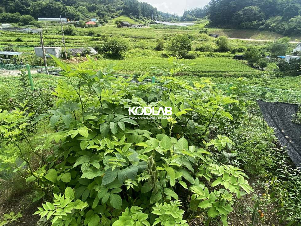 경기 양평군 청운면 갈운리 태양광 시공, 텃밭과 마당이 같이있는 청운면 전원주택 매매 매물번호 11735 사진 9