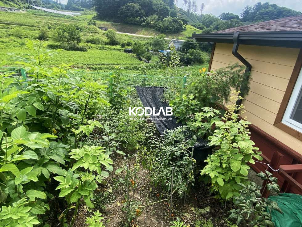 경기 양평군 청운면 갈운리 태양광 시공, 텃밭과 마당이 같이있는 청운면 전원주택 매매 매물번호 11735 사진 10