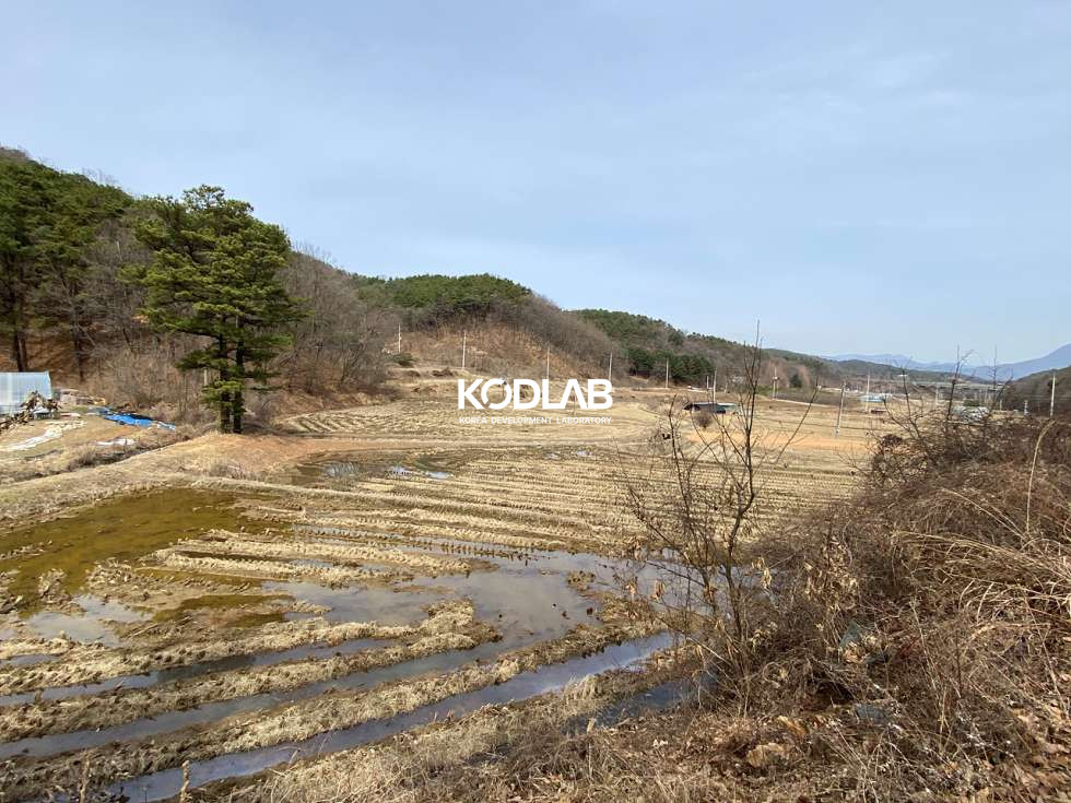 경기 여주시 금사면 외평리 여주 금사면 평당 24만원 1100평 토지 매매 매물번호 11244 사진 1