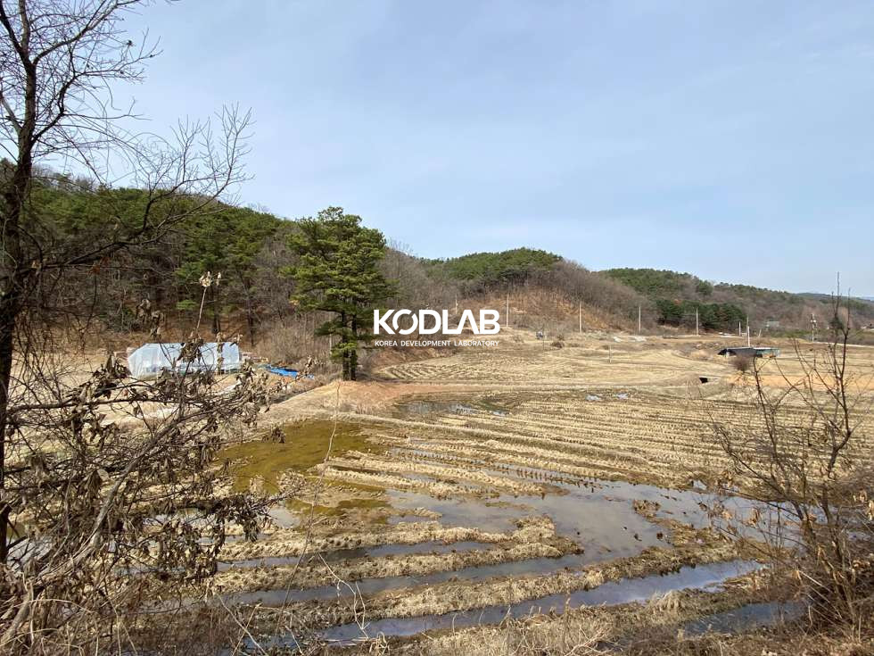 경기 여주시 금사면 외평리 여주 금사면 평당 24만원 1100평 토지 매매 매물번호 11244 사진 4