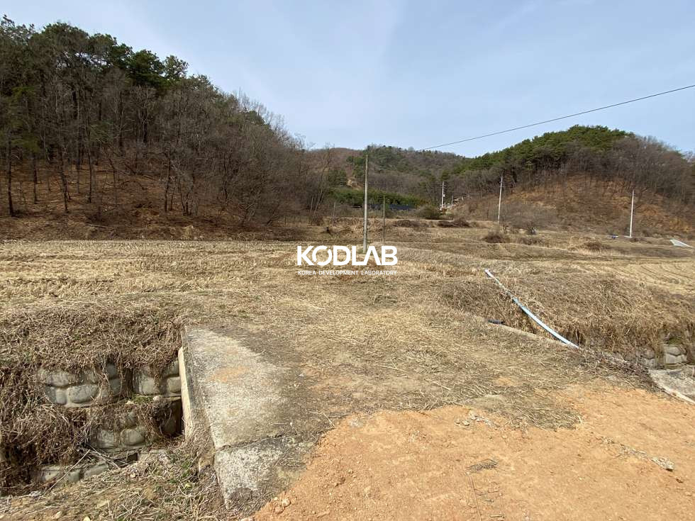 경기 여주시 금사면 외평리 여주 금사면 평당 24만원 1100평 토지 매매 매물번호 11244 사진 10